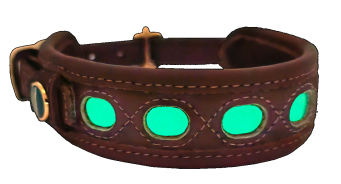 Obroża skóra fluorescencyjna rozm.XS (30-40cm)2417 00013 Niggeloh