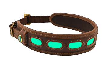 Obroża skóra fluorescencyjna rozm.M (48-60cm)2417 00015 Niggeloh