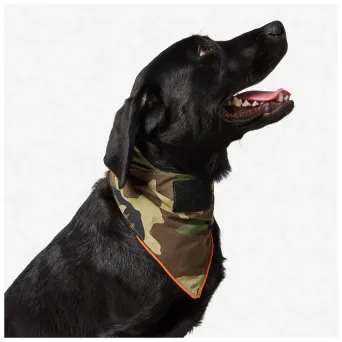 Obroża 5.11 Mission Ready Dog Bandana M 6880017-938M Woodland Camo