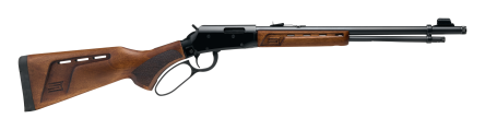 Karabin Savage Revel DLX (22LR)
