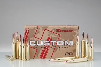 Amunicja Hornady kal.308Win SP 180gr/11,7g Custom International (20szt) 80993