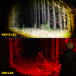 Latarka Night Hunter Elite LFNHELITE Lightforce - 4